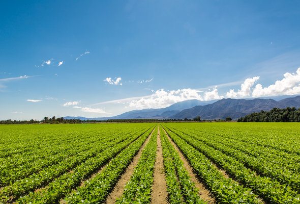 15 Things to Know Before Moving to California