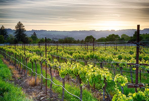 15 Things to Know Before Moving to California