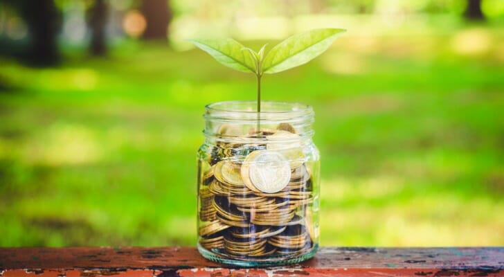 Green plant growing out of a jar of coins
