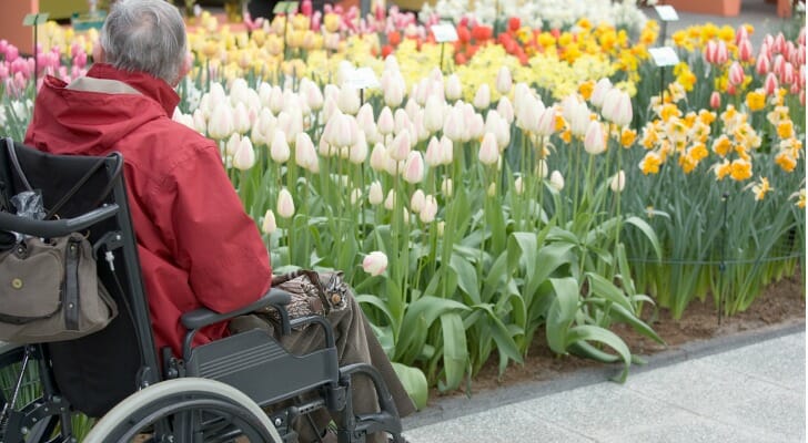 Man in wheelchair by flowers