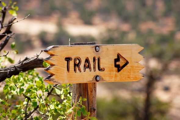 The Economics of National Parks