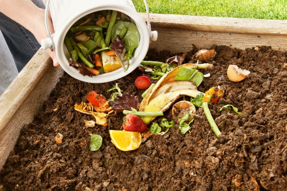 how much money can ou make for compost