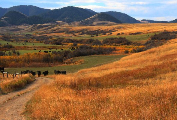 15 Things to Know Before Moving to Montana