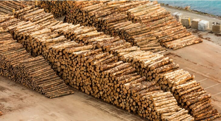 Timber ready for export