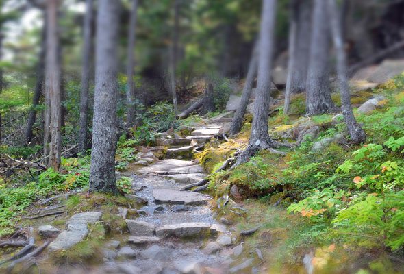 15 Choses à savoir Avant de déménager dans le Maine 