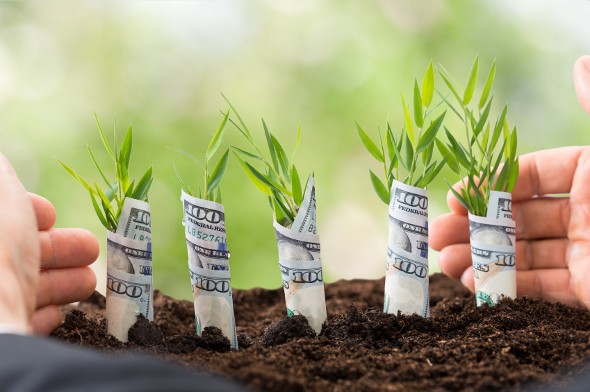 Ways You Can Invest With Little Money