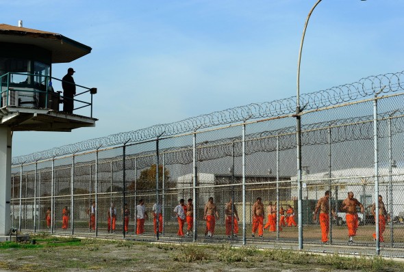 The Economics of the American Prison System