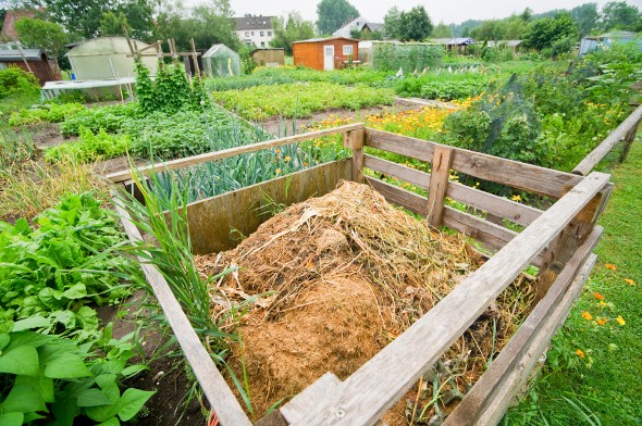 The Economics of Composting