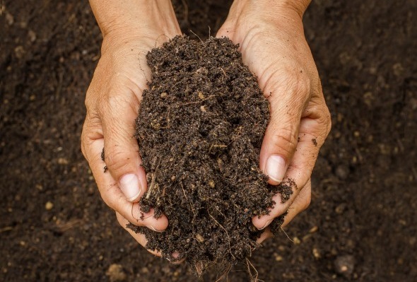 The Economics of Composting