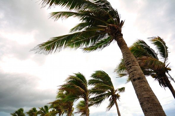 企业如何应对飓风季节