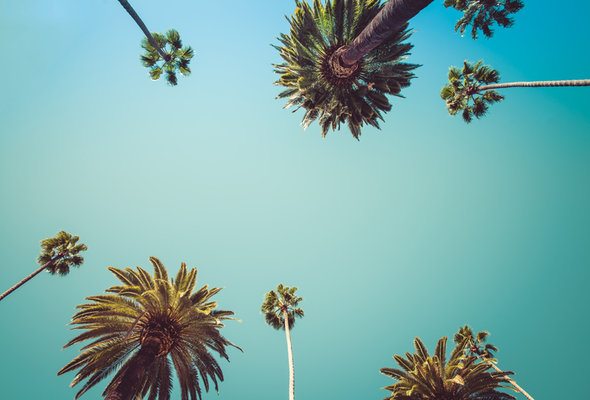 The Best Places to Live in California