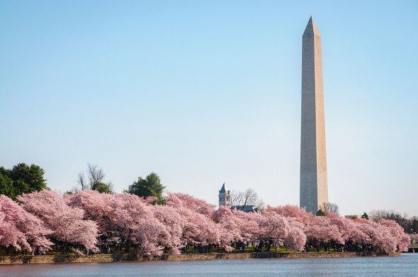 15 Things to Know Before Moving to Washington, D.C.