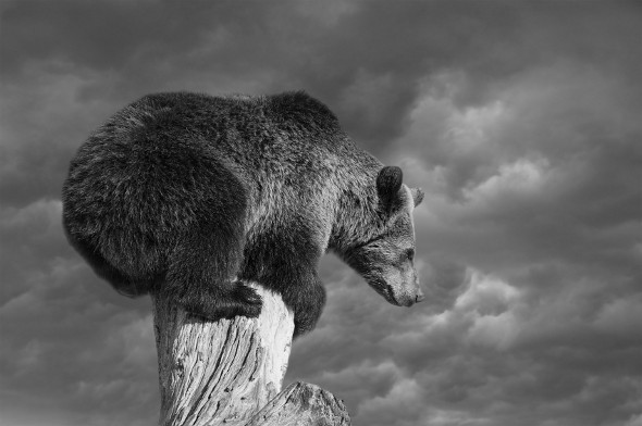 What Is a Bear Market?