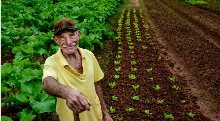 Elderly man working on a farm