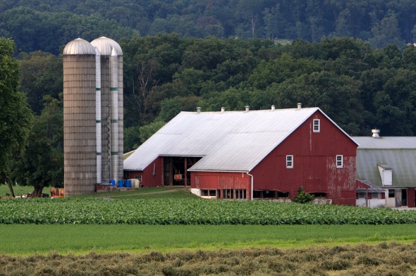 What Is A Usda Loan Mortgage Definition Eligibility More