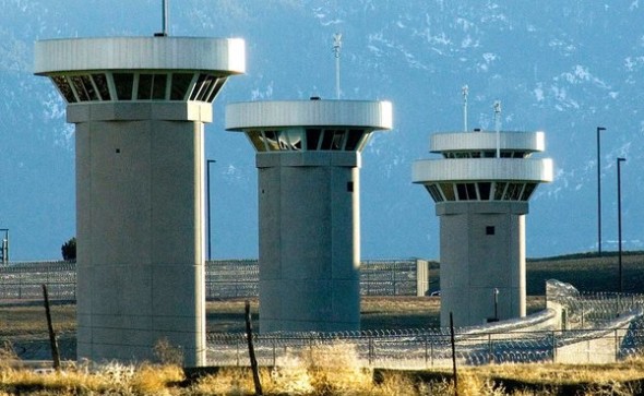 The Economics of the American Prison System 