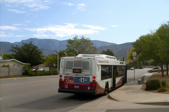 5 Reasons To Take the City Bus