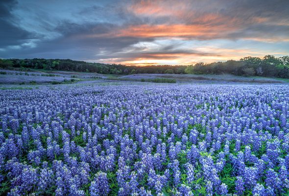 15 Things to Know Before Moving to Texas