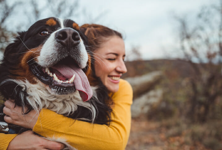 which cities have the most dogs